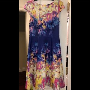 Adrianna Papell floral fit and flare dress